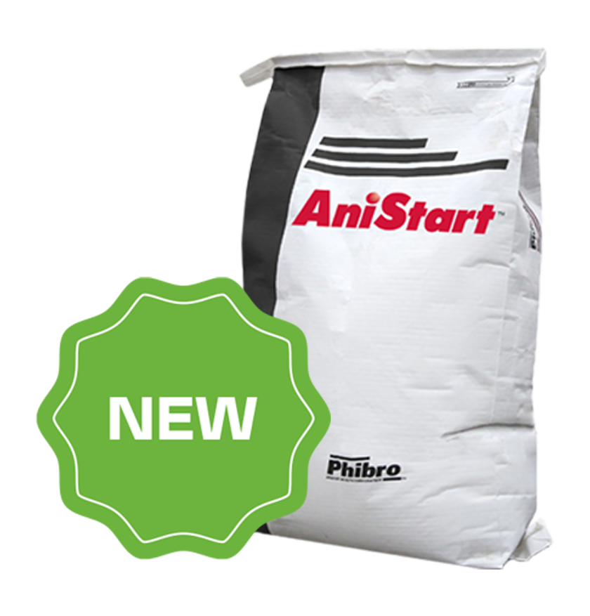 AniStart-Bag-New-Badge