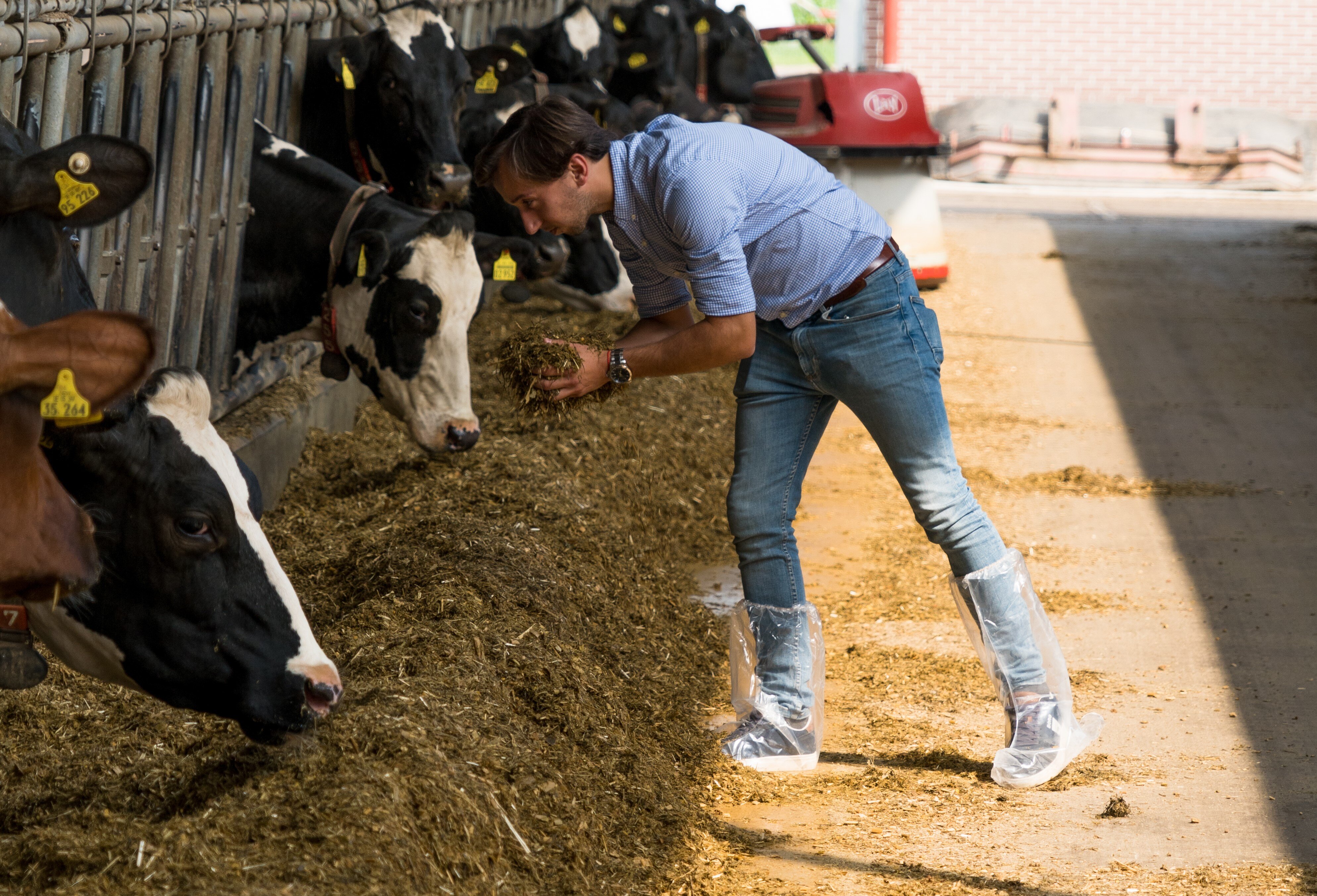 DSC07862 (2) resized-2