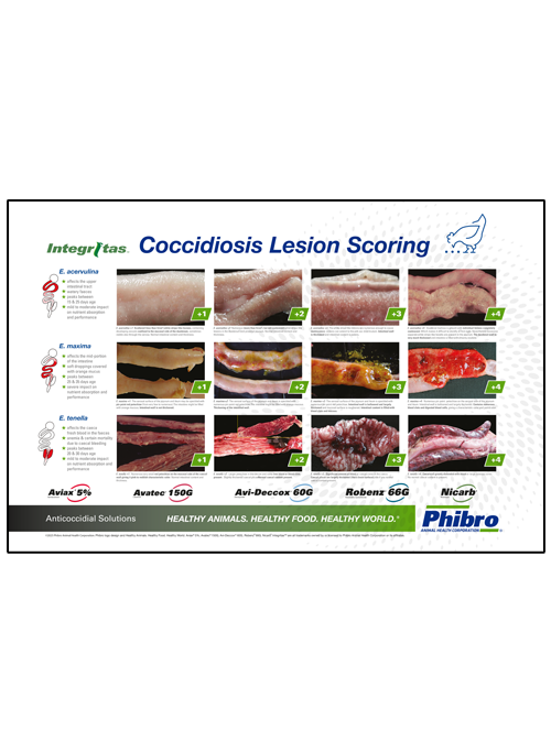 Free Lesion Scoring
