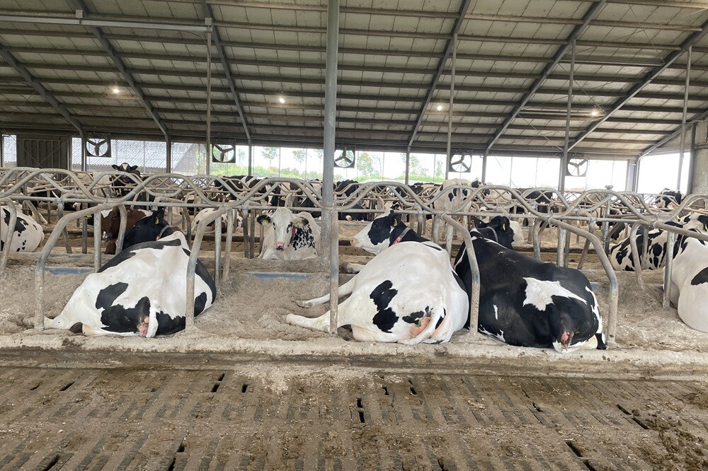 Melkziekte-de-baas-met-AniStart.1000