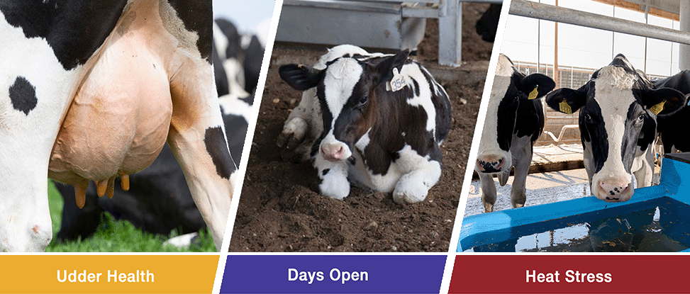 OmniGen Banner (1)@0.25x