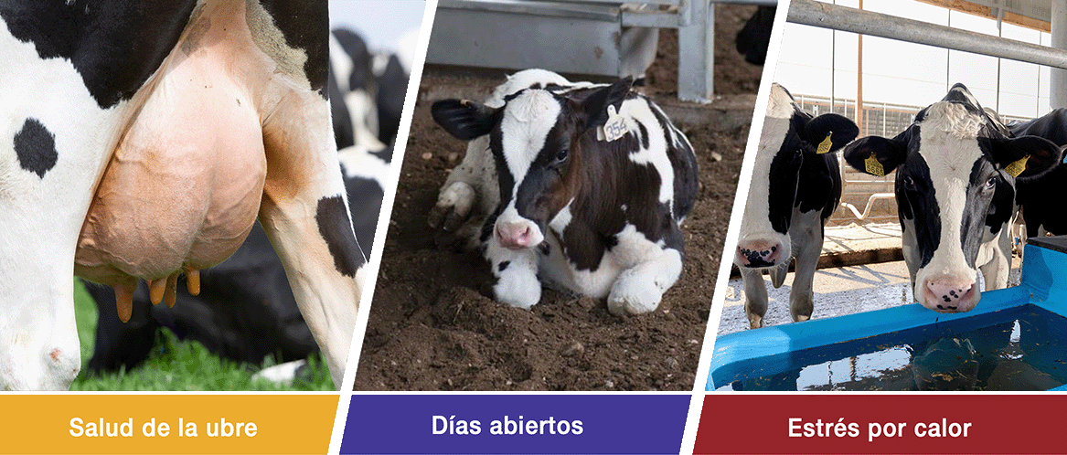 OmniGen Banner ES @0.25x@0.3x