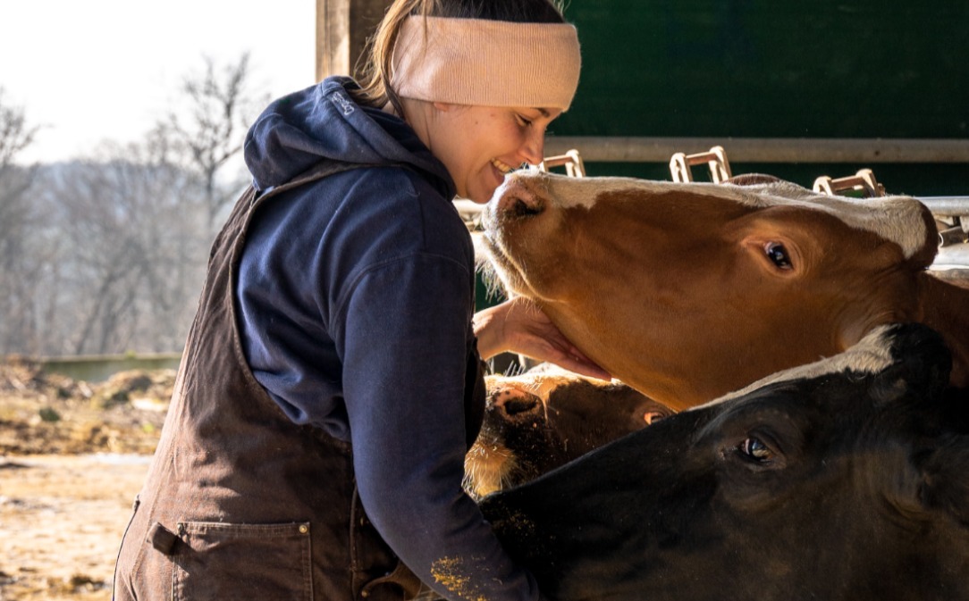 Phibro-heat stress campaign-mail-v2