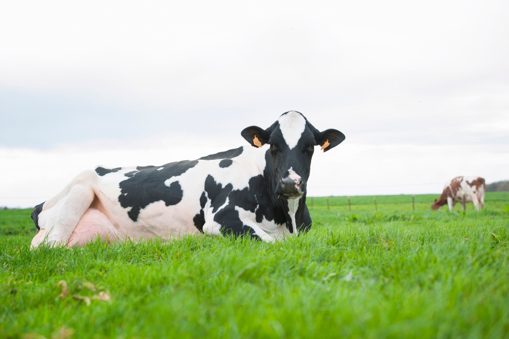 Social Posts (1200 x 800 px) (1)