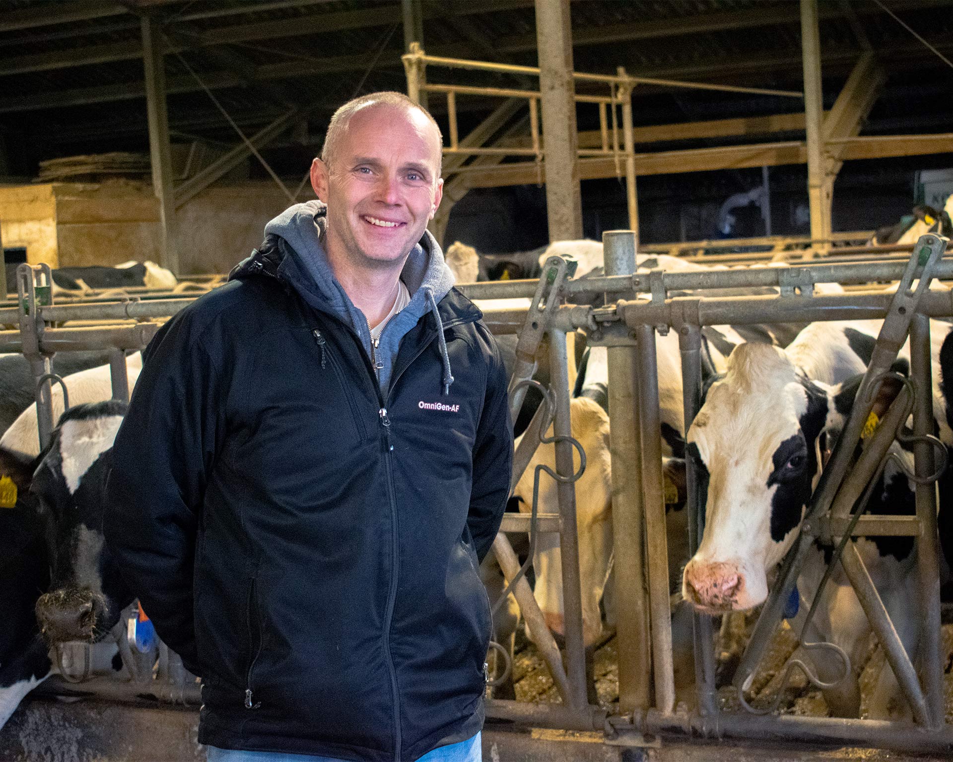 Phibro-Arnout-with-cows-hero-desktop