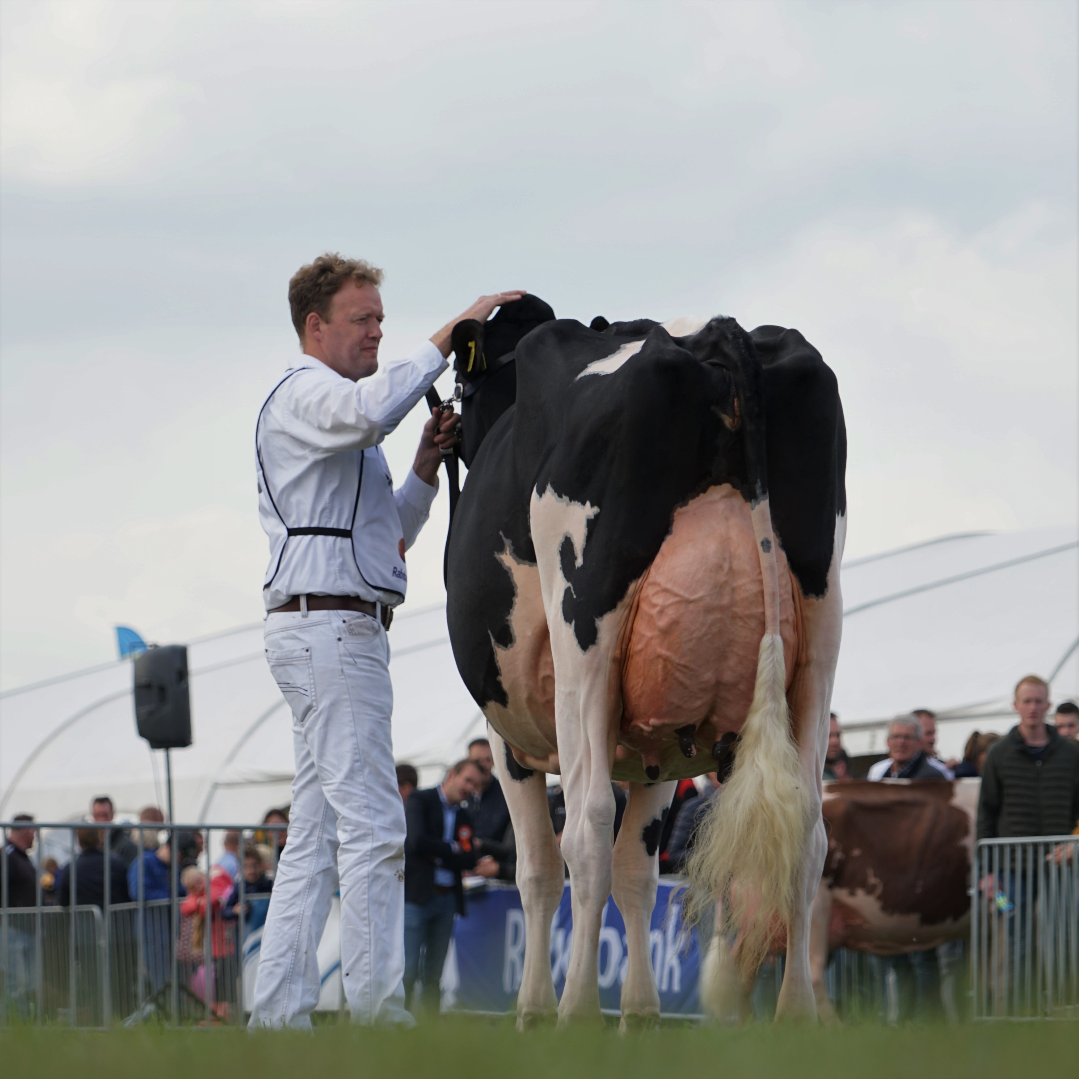 Nico Bons 2 - Door Lianna Kolf