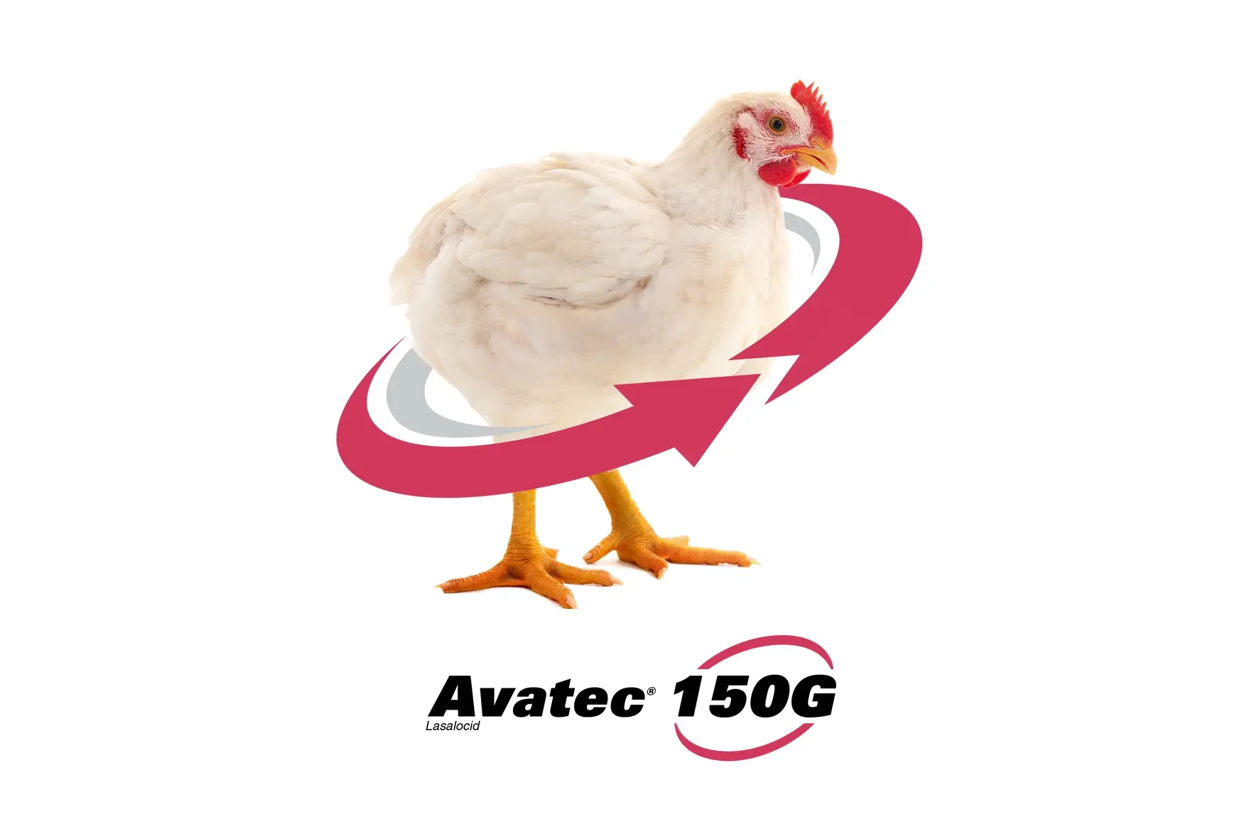 avatec-centered