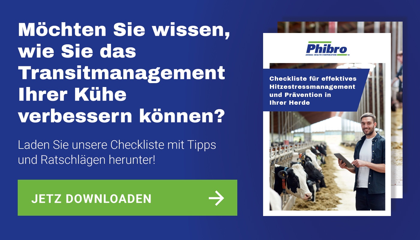 checkliste hitzestressmanagement