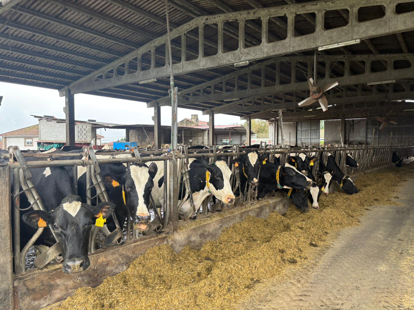 testimoni agro dafonte