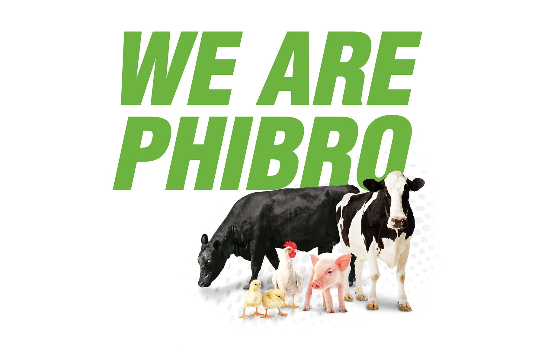 wearephibro-centered